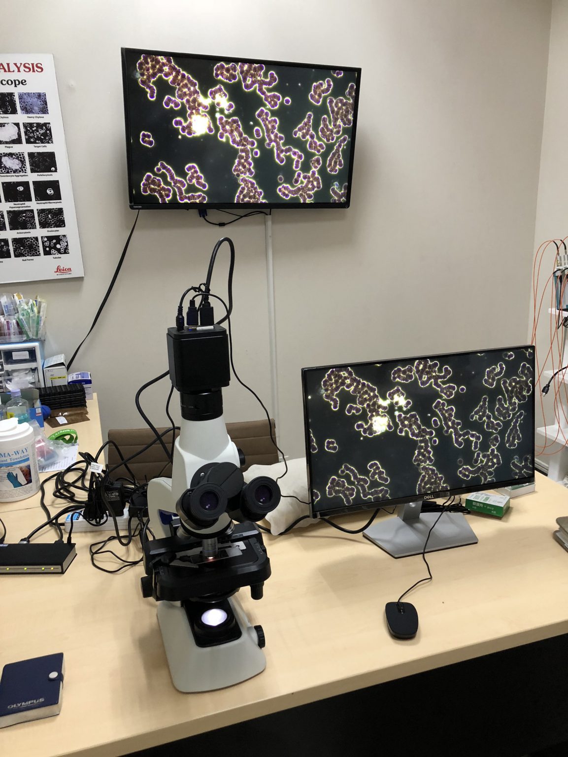 Dark field microscope NaTaLink Online